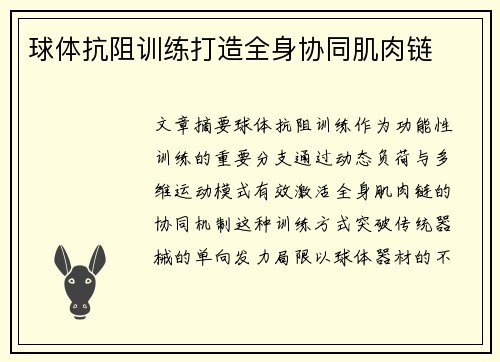 球体抗阻训练打造全身协同肌肉链
